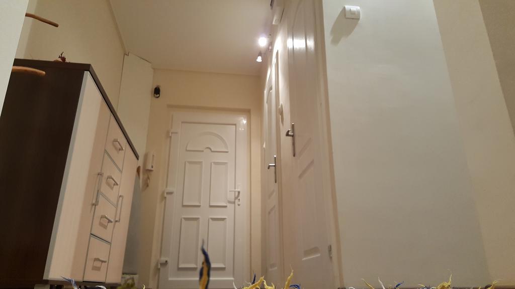 Aquarius Apartman Szeged Exteriör bild